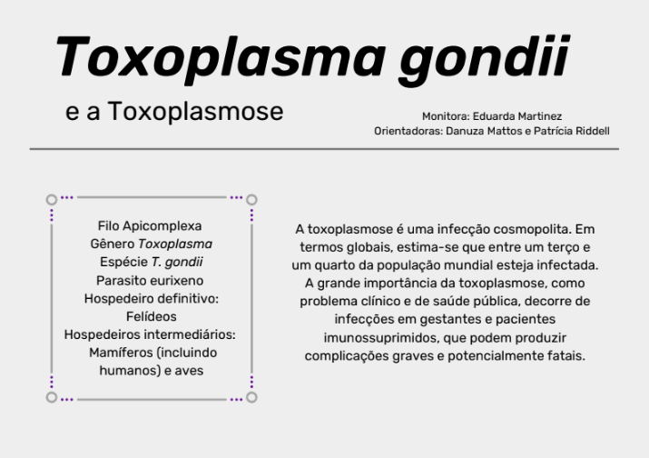 Infográfico sobre Toxoplasma gondii