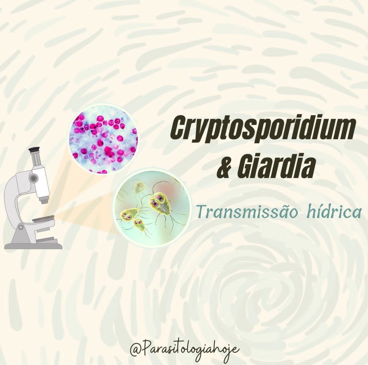 Capa Cryptosporidium e Giardia