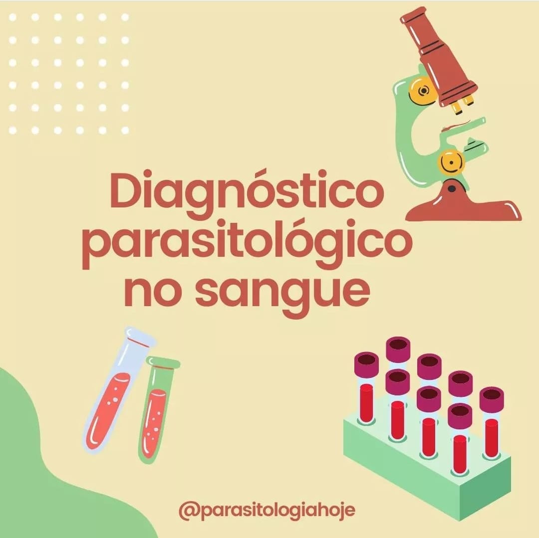 Capa Diagnóstico Parasitológico no sangue