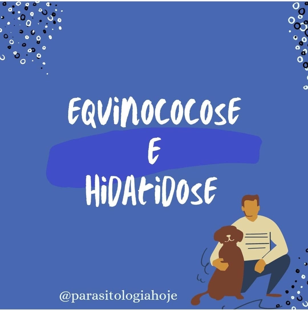 Capa Equinococose e Hidatidose