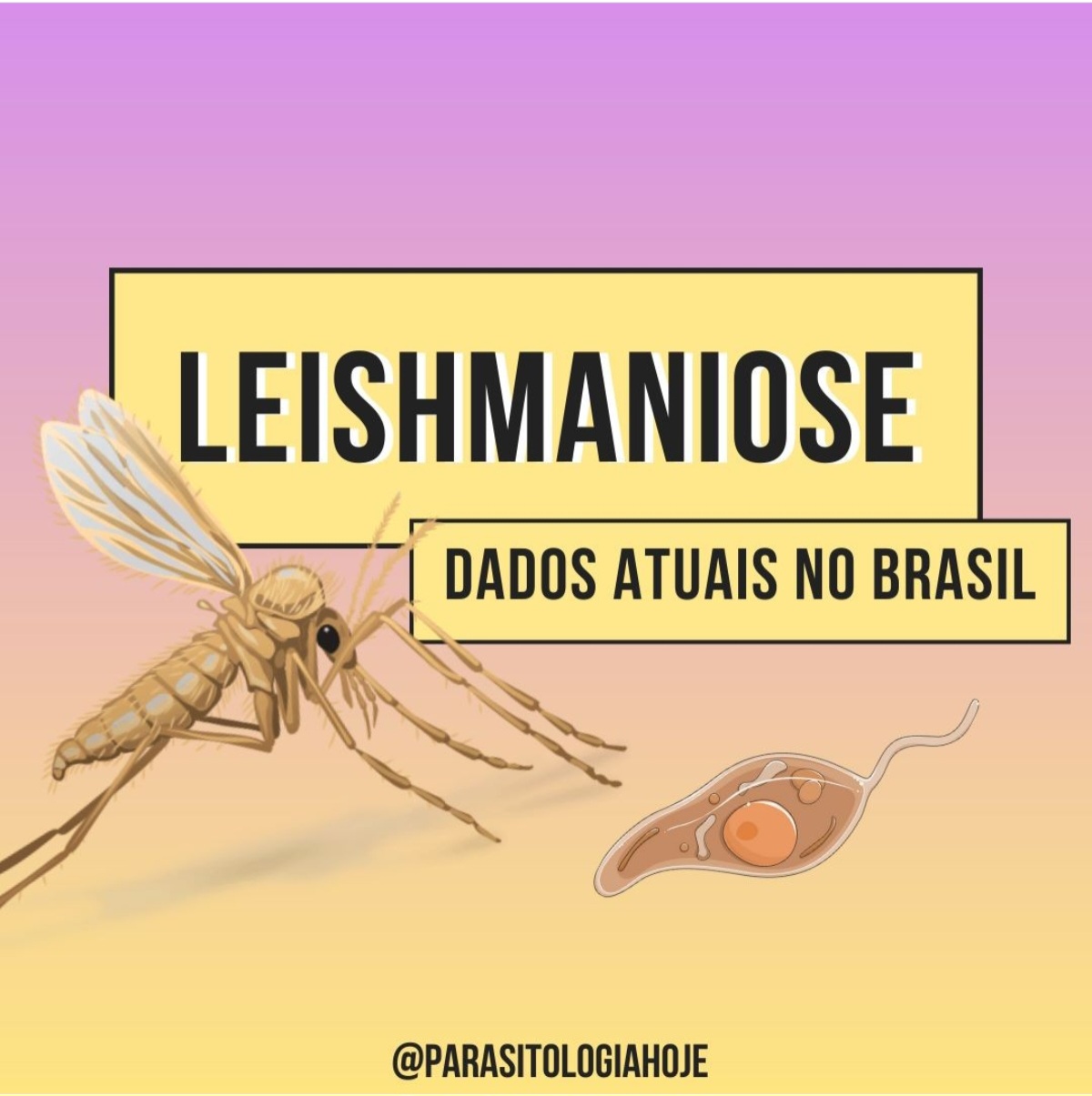 Capa Leishmaniose - Dados atuais no Brasil