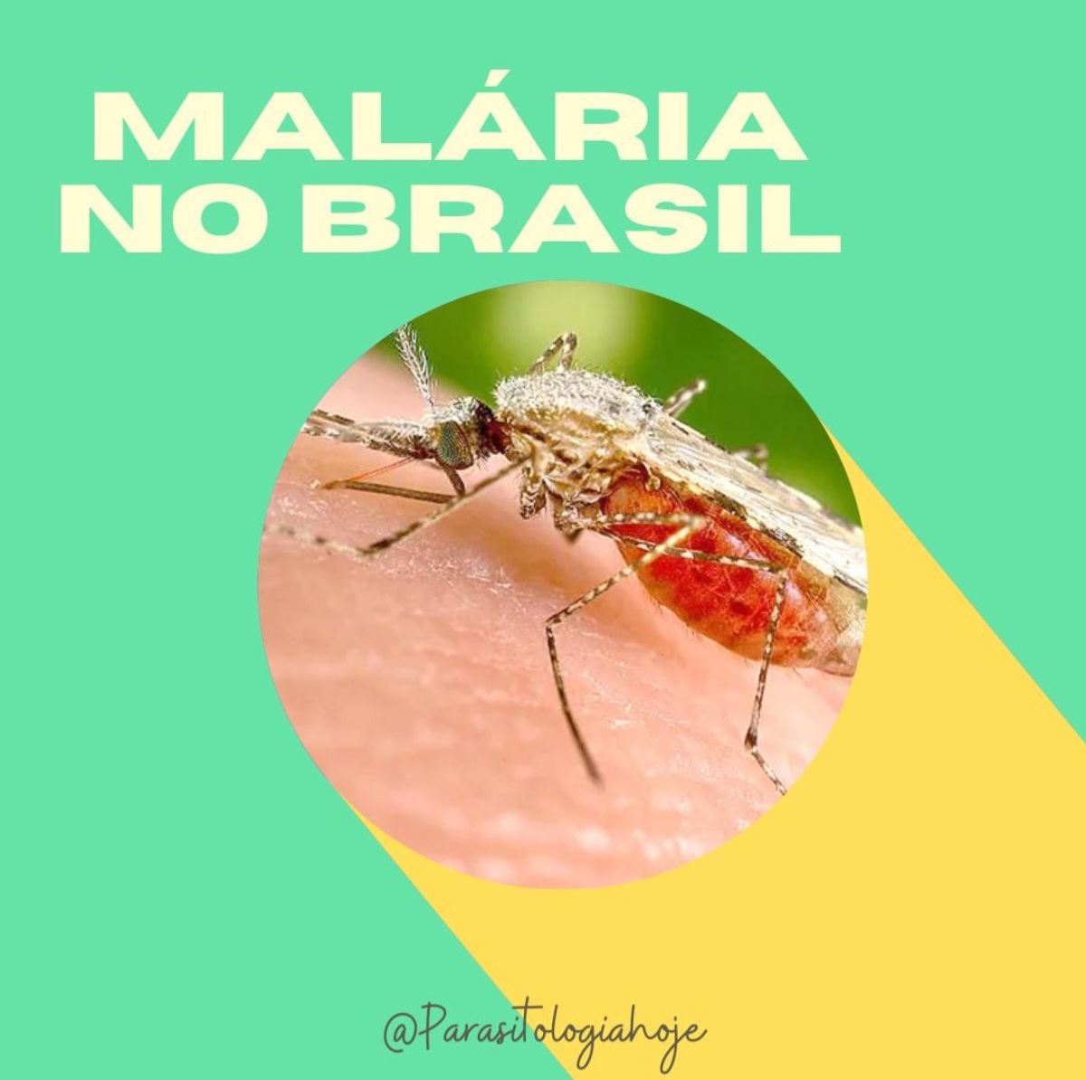 Capa Malária no Brasil