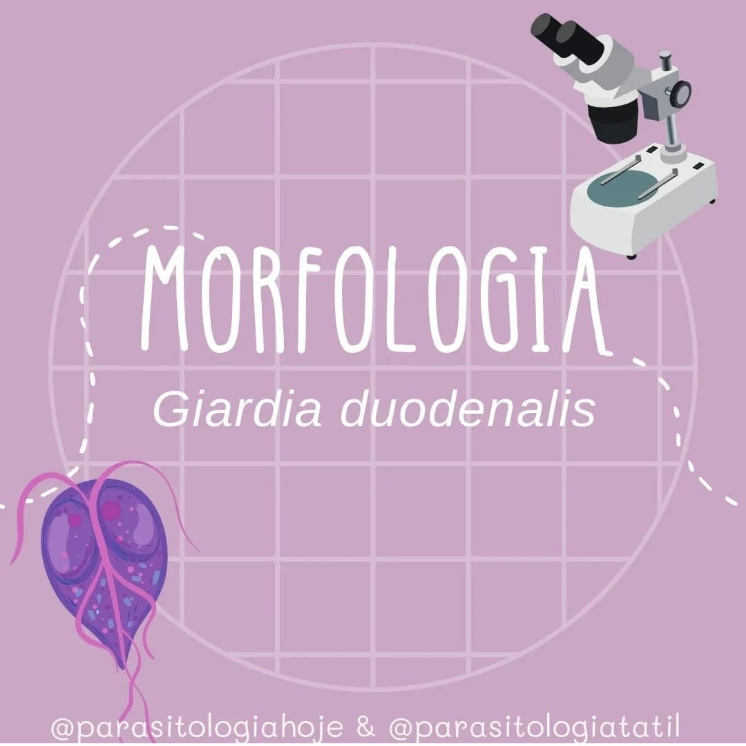 Capa Morfologia Giardia duodenalis