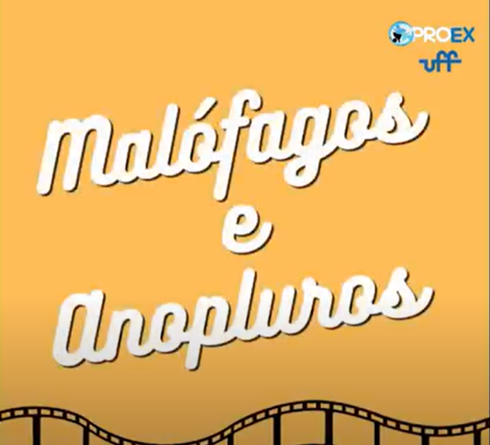 Capa Vídeo Malófagos e Anopluros