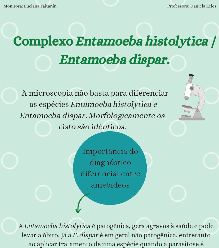 Infográfico Amebídeos