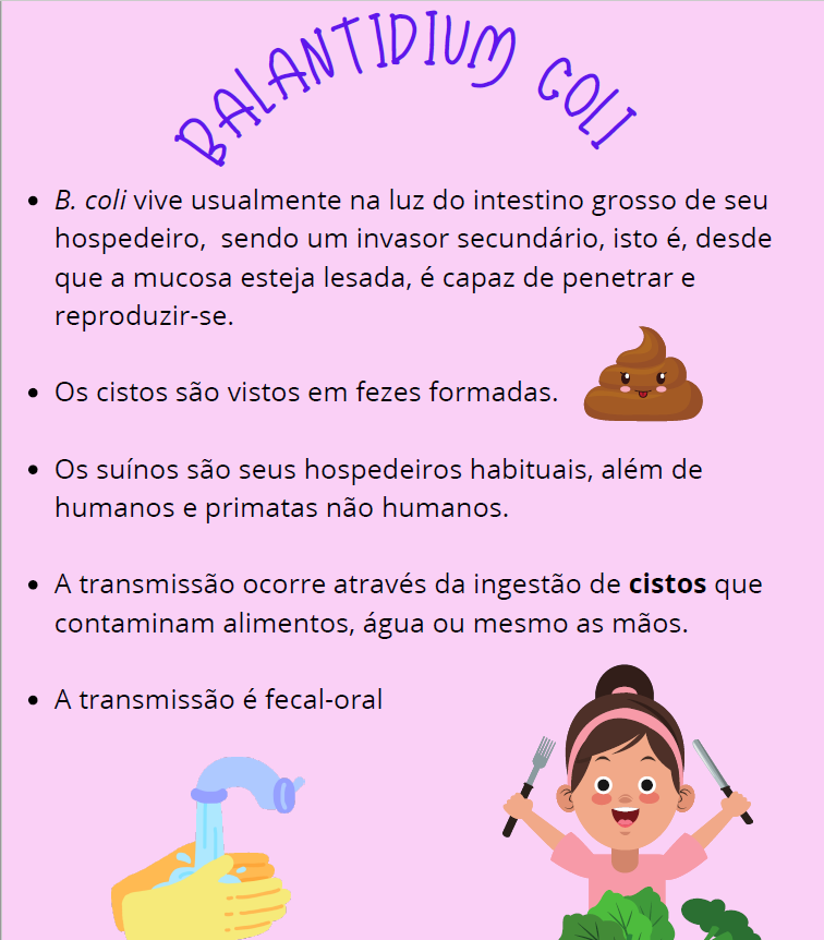 Infográfico Balantidium coli