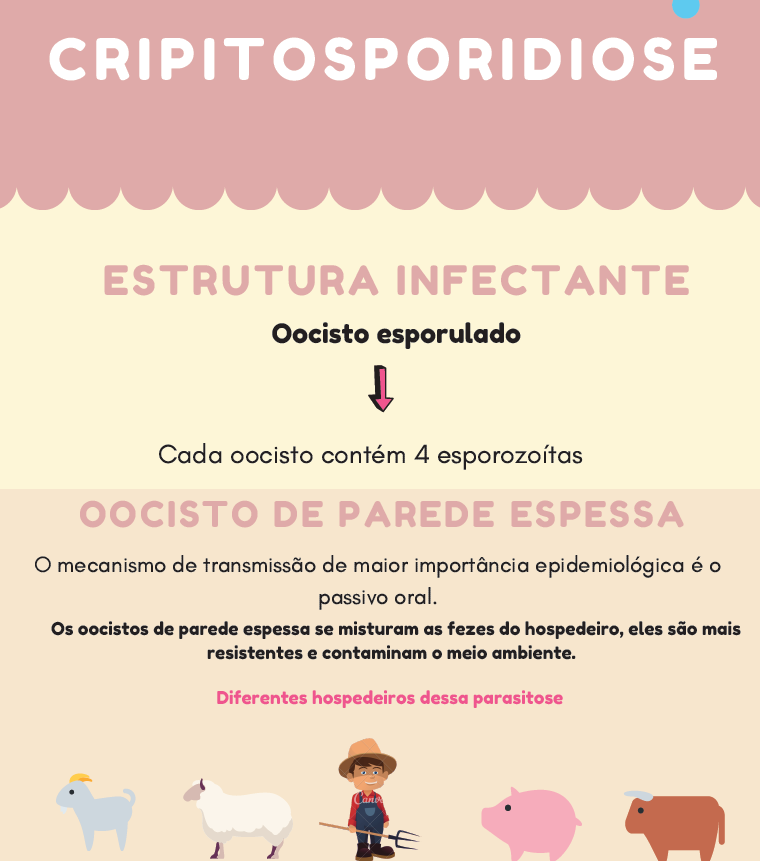 Infográfico Cryptosporidium