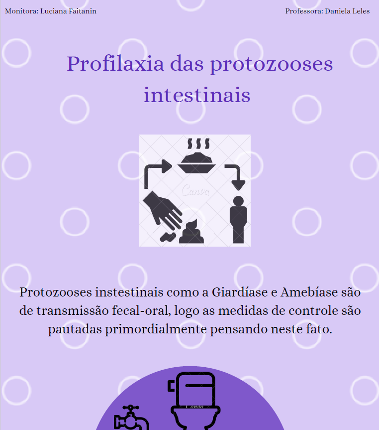 Infográfico Profilaxia Protozooses intestinais