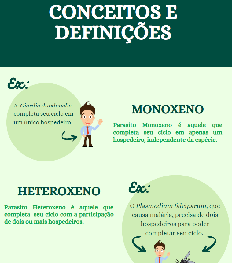 Infográfico Conceitos e Definições Parte 2