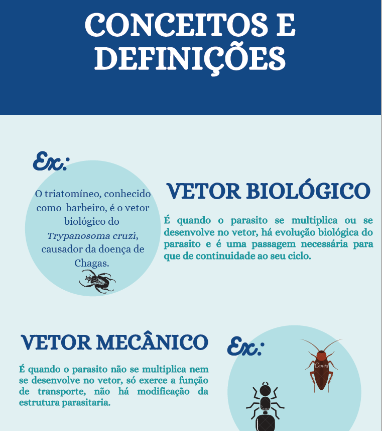 Infográfico Conceitos e Definições Parte 3