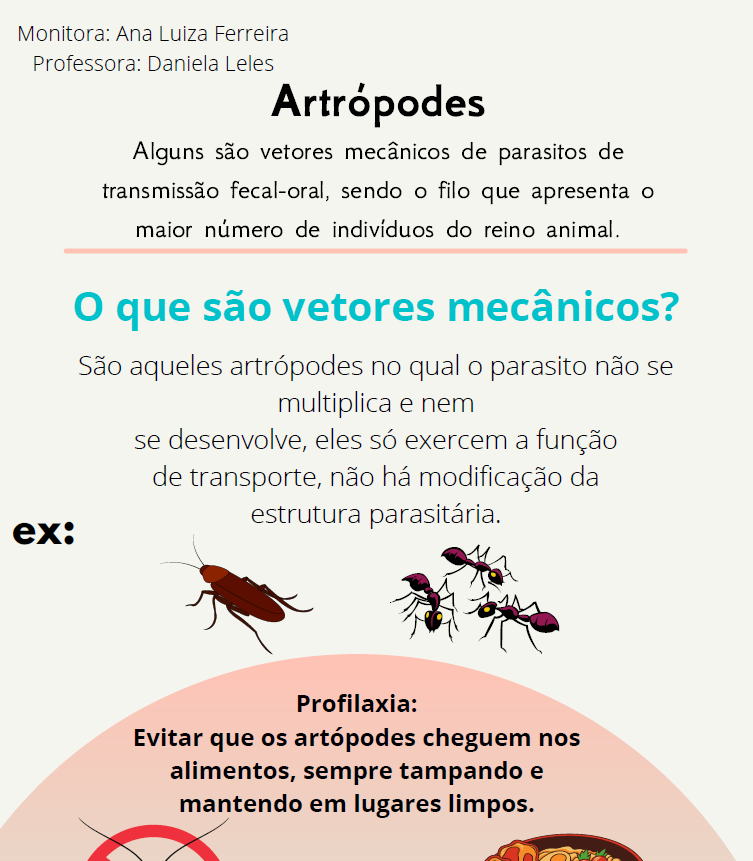 Infográfico Artrópodes como Vetores mecânicos