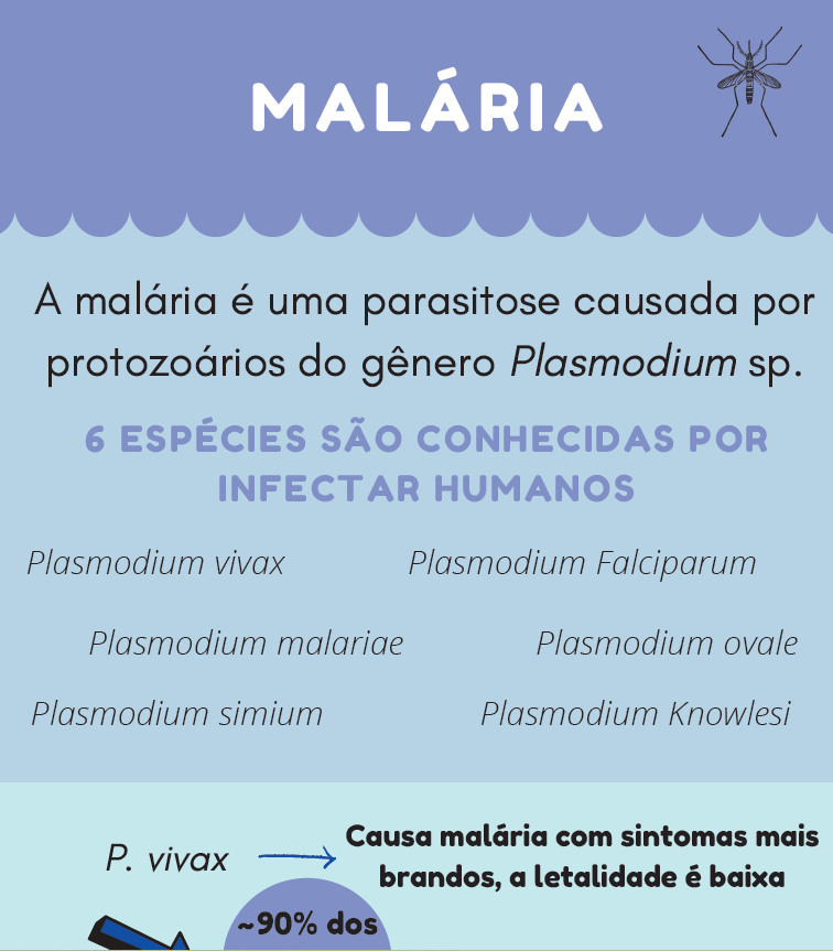 Infográfico Malária