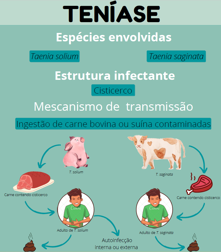 Infográfico Teníase e Cisticercose