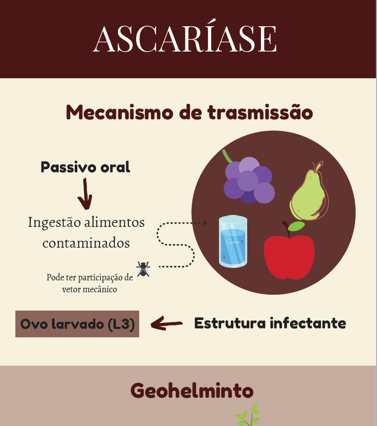 Infográfico Ascaríase