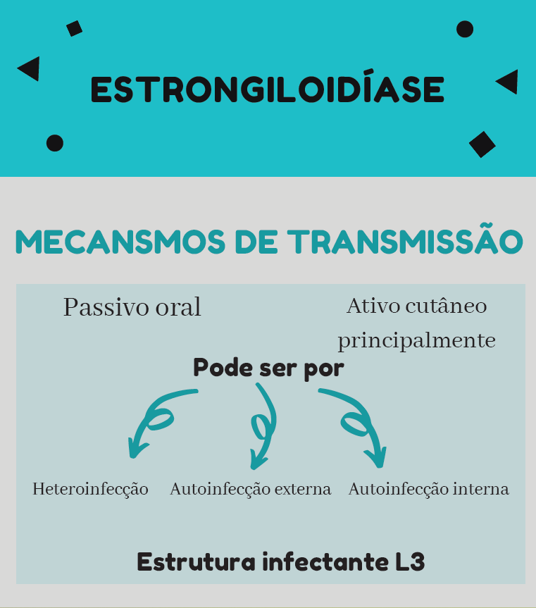 Infográfico Estrongiloidíase