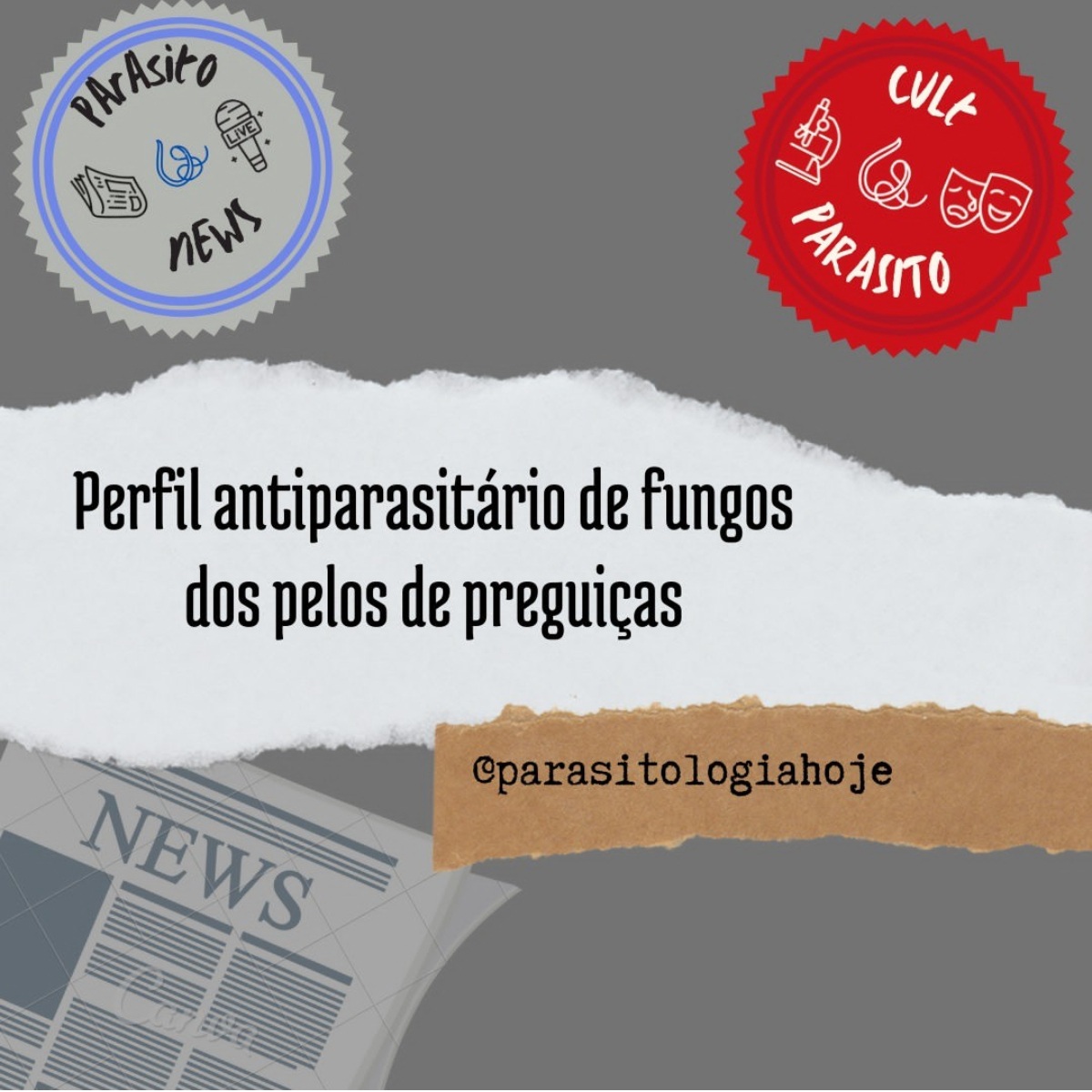 Capa Parasito News Pelos de preguiça e fungos antiparasitários